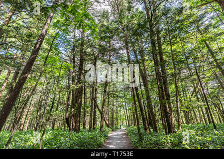 It is the prime attraction of the Chubu SangakuNational Park Stock Photo