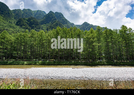 River and Summer Forest Landscape,Pathway at Kamikochi in Japan Stock Photo