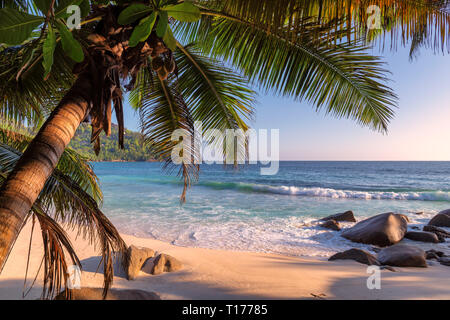 Exotic beach at sunset on tropical island, Seychelles. Stock Photo