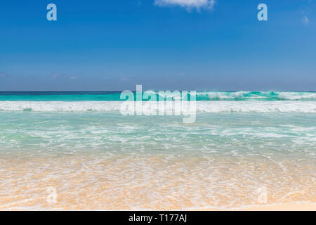 Beautiful ocean beach Stock Photo - Alamy