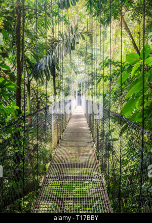 One of 6 hanging bridges in Arenal Hanging Bridges Park in Costa Rica Stock Photo