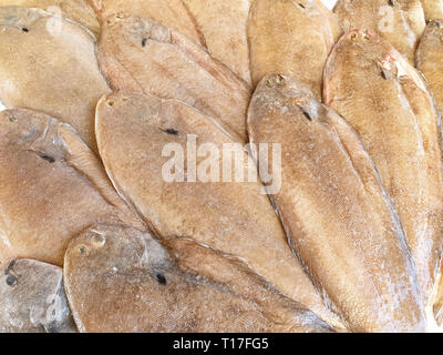 Sogliola fish on ice for sale, Fish local market stall with fresh seafood,view from top. Stock Photo