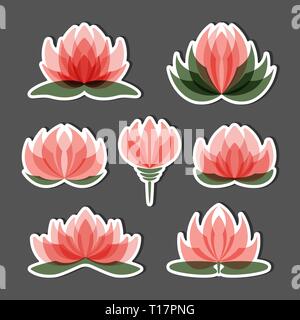 Set of lotus flowers isolated on black background. Stock Vector