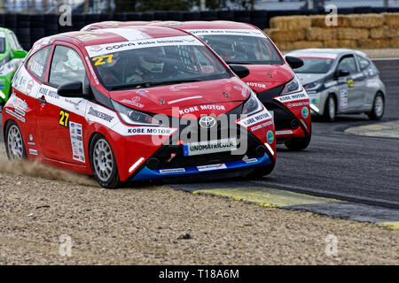 Madrid, Spain. 23rd March, 2019. First test of the Kobe Circuit Cup of the Toyota Aygo at the Jarama Circuit in Madrid, Spain. Credit: EnriquePSans/Alamy Live News Stock Photo