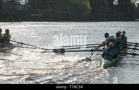 London, UK. 24th Mar, 2019. 24 March 2019. Boat Race Fixture. CUBC vs Oxford Brookes. As preparation for the The Boat Races, Oxford and Cambridge clubs participate in a number of Fixtures against other clubs, rowing the same Tideway course as used for the Boat Race. CUBC Crew List (Light Blue shirts):- Stroke: Natan Wegrzycki-Szymczyk, 7: Freddie Davidson, 6: Sam Hookway, 5: Callum Sullivan, 4: Dara Alizadeh, 3: Grant Bitler, 2: James Cracknell, Bow: Dave Bell, Cox: Matthew Holland Credit: Duncan Grove/Alamy Live News Stock Photo