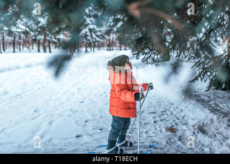 A small boy of 3-6 years old, in the winter in the city park, looks at trees in children's skis. Free space for text. The first steps in children's Stock Photo