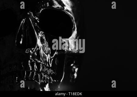 Model of human skull painted with black on dark background with illumination. Concept of fear and horror, Halloween celebration. Copy space Stock Photo