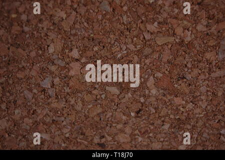 Cork board close up Stock Photo