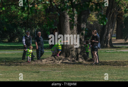 Tree Hugger Concept of a Young Boy Hugging Tree with his Legs and Arms  visible Stock Photo - Alamy