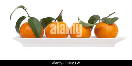 Four juicy small oranges, tangerines, with leaves on white plate isolated on white. Modern, minimalist fresh fruit. Stock Photo