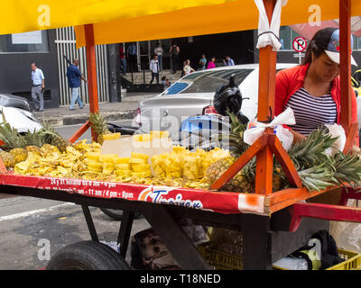 CALI, COLOMBIA - FEBRUARY, 2019: Street seller of fresh topical pineapple at Cali city center Stock Photo