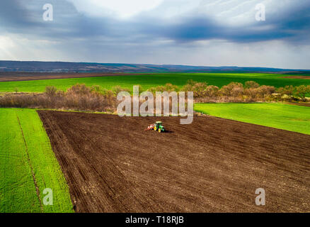 A farmer on a red tractor with a seeder sows grain in plowed land in a private field in the village area. Stock Photo