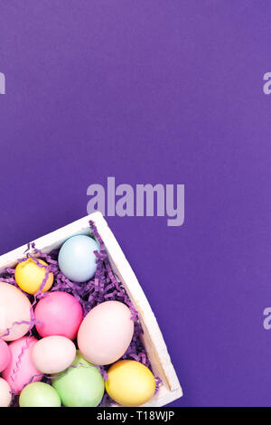 Multicolor eggs in a white tray. Creative Easter concept. Modern solid ultra violet background.  Color of the year inspired. Stock Photo