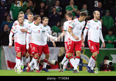 Belarus' Ihar Stasevich (far left) celebrates scoring his side's first goal of the game with team-mates during the UEFA Euro 2020 Qualifying, Group C match at Windsor Park, Belfast. Stock Photo