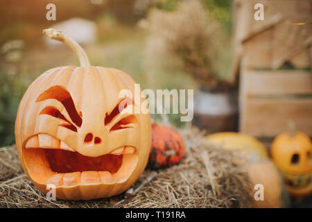 Ghost pumpkins on Halloween. ead Jack on an autumn background. Holiday outdoor decorations Stock Photo