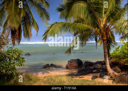 Two palm trees on each side frame a view of the ocean and a short beach with smooth sand and large dark rocks in Hawaii Stock Photo