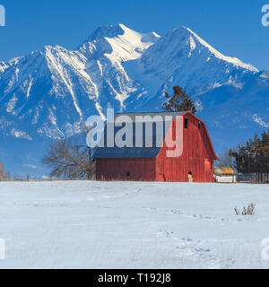 red barn below the mission mountains in winter near ronan, montana Stock Photo