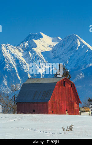 red barn below the mission mountains in winter near ronan, montana Stock Photo