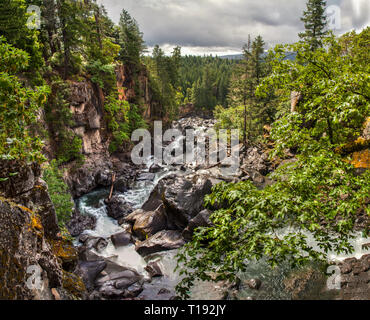 Small creek leading to the Rogue River with rugged stone cliffs, tall trees and some oak leaves in the foreground Stock Photo