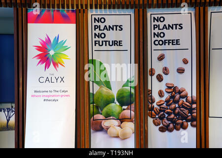 SYDNEY, AUSTRALIA -18 JUL 2018- View of the Calyx, an event and exhibit space with a large green living plant wall in the Royal Botanical Gardens in S Stock Photo