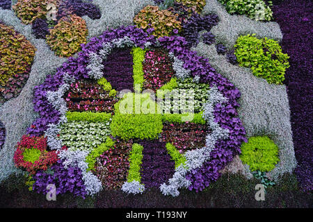 SYDNEY, AUSTRALIA -18 JUL 2018- View of the Calyx, an event and exhibit space with a large green living plant wall in the Royal Botanical Gardens in S Stock Photo