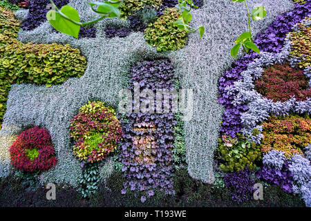 SYDNEY, AUSTRALIA -18 JUL 2018- View of the Calyx, an event and exhibit space with a large green living plant wall in the Royal Botanical Gardens in S Stock Photo