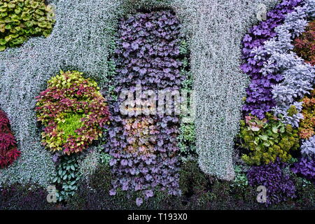 SYDNEY, AUSTRALIA -18 JUL 2018- View of the Calyx, an event and exhibit space with a large green living plant wall in the Royal Botanical Gardens in S Stock Photo