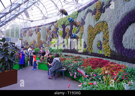 SYDNEY, AUSTRALIA -18 JUL 2018- View of the Calyx, an event and exhibit space with a large green living plant wall in the Royal Botanical Gardens in S Stock Photo