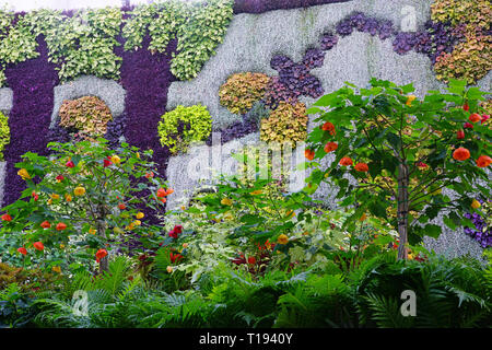 SYDNEY, AUSTRALIA -18 JUL 2018- View of the Calyx, an event and exhibit space with a large green living plant wall in the Royal Botanical Gardens in S Stock Photo