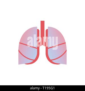 lungs icon human organ anatomy healthcare medical concept respiratory breathing system white background Stock Vector