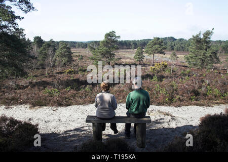 People resting on seat in lowland heath North Park Avon Heath Country Park Dorset County Council Dorset England Stock Photo