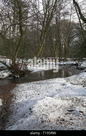 Highland Water stream and snowy woodland at Great Huntley Bank New Forest National Park Hampshire England Stock Photo