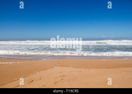 Atlantic ocean with intense waves during a windy autumn day. Empty beach with golden sand. Blue sky with little clouds on the horizon. North of Safi,  Stock Photo
