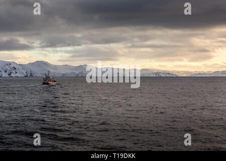 A small solitary fishing trawler sets sail fromthe port town of Honningsvag in Norway. Stock Photo
