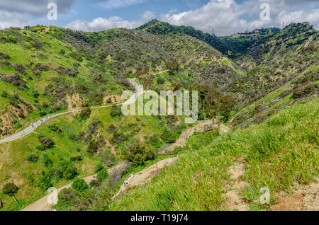 Hiking trails in Runyon Canyon, Los Angeles, CA. Stock Photo