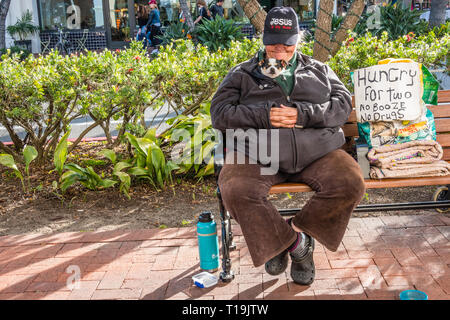 A female senior citizen beggar, with her tiny dog wrapped up close to her chest in her clothes,  sits on a city bench with a begging sign in late afte Stock Photo