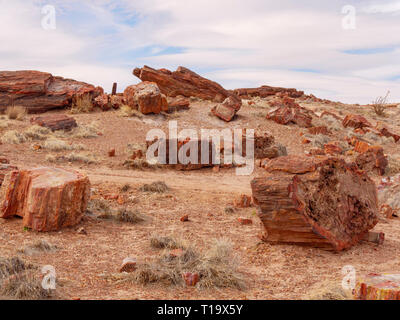 Petrified logs, Emerald Forest. Petrified Forest National Park, Arizona. Stock Photo