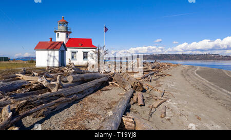 Driftwood collects up at the high water mark on the beach at Point Robinson in Puget Sound Washington Stock Photo