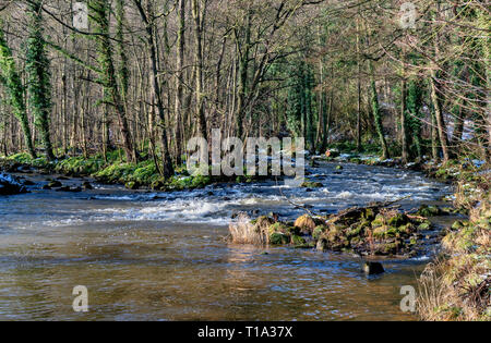 The river Esk at Egton Bridge Stock Photo