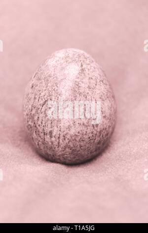Egg - still life close-up, monochrome. Old pink and copy space Stock Photo
