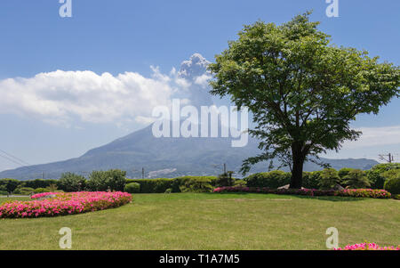 Active Vulcan Sakurajima covered by green Landscape. Taken from the wonderful Sengan-en Garden. Located in Kagoshima, Kyushu, South of Japan. Stock Photo