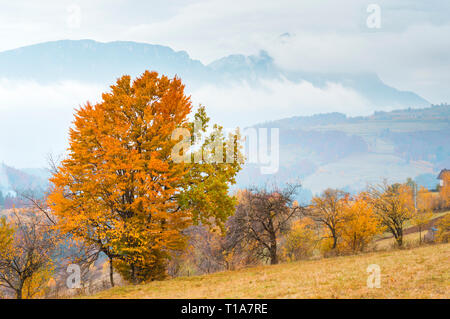 Autumn landscape. Piatra Craiului mountains in sunset light in Poiana Marului, Transylvania. Stock Photo