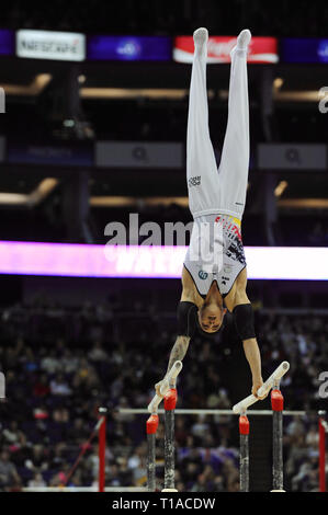 double gymnastics bar