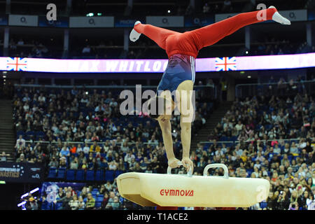 Max Whitlock (GBR, double Olympic gold and triple Olympic bronze medalist) using the Pommel horse during a demonstration at the Superstars Of Gymnastics competition at The O2 Arena, London, UK.  Superstars Of Gymnastics showcases some of the world’s best gymnasts over two sessions at The O2, London UK. Stock Photo