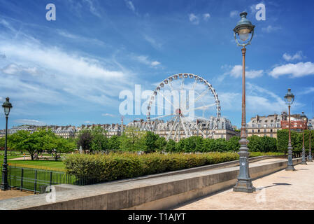 Tuileries garden, Ferris wheel in the background, Paris, France Stock Photo