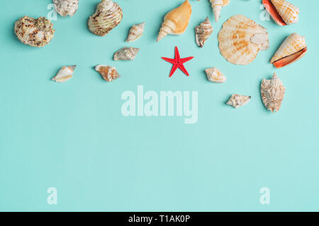 Composition of exotic sea shells on a blue background. Summer concept. Flat Lay. Top View Stock Photo