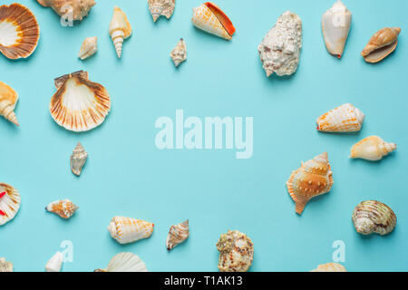 Composition of exotic sea shells on a blue background. Summer concept. Flat Lay. Top View Stock Photo