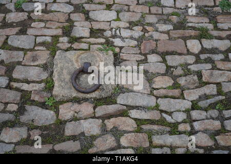 Green grass growing in between the old cobblestones with a metal piece for mooring boats Stock Photo