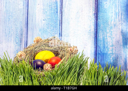 Painted easter eggs in grass nest in grass with shadow of rabbit on blue white wooden background Stock Photo