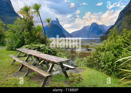 Rest area at Milford Sound (Fjordland, New Zealand) Stock Photo